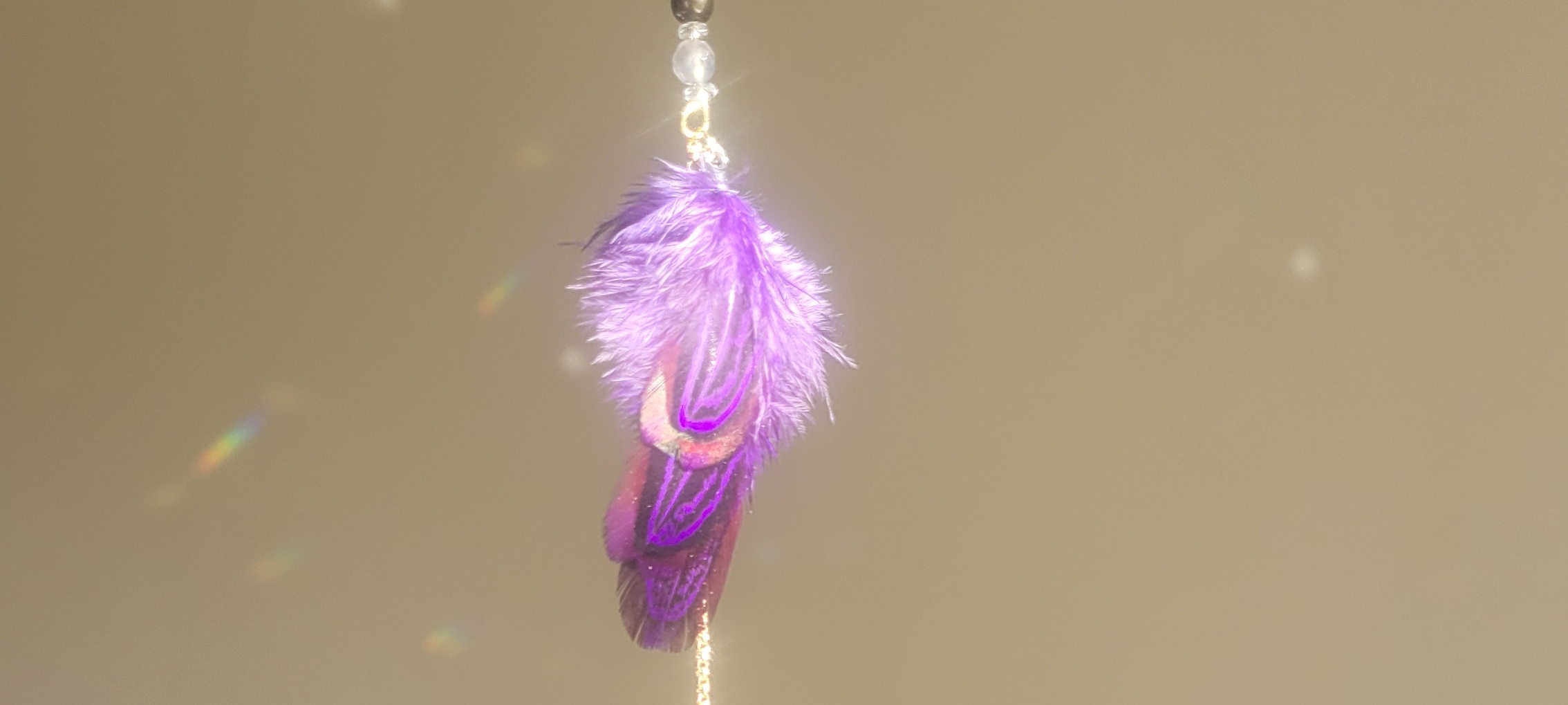 Collection attrape-soleils souffle de plume